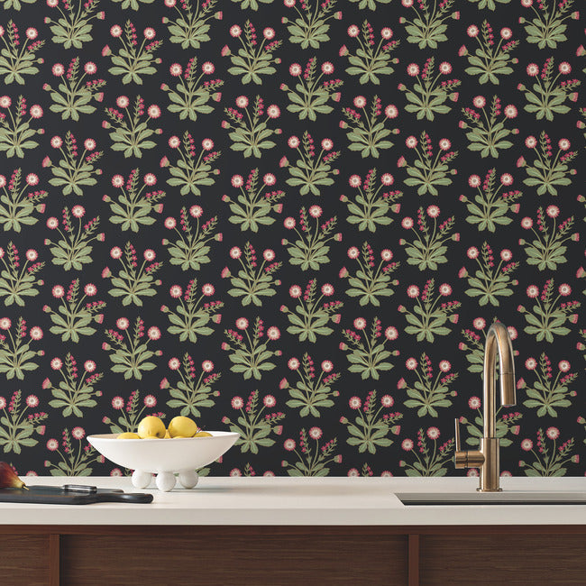 meadow-flowers-wallpaper-blackrose-york-wallcoverings-ac9152 - York Wallcoverings Wallpaper
