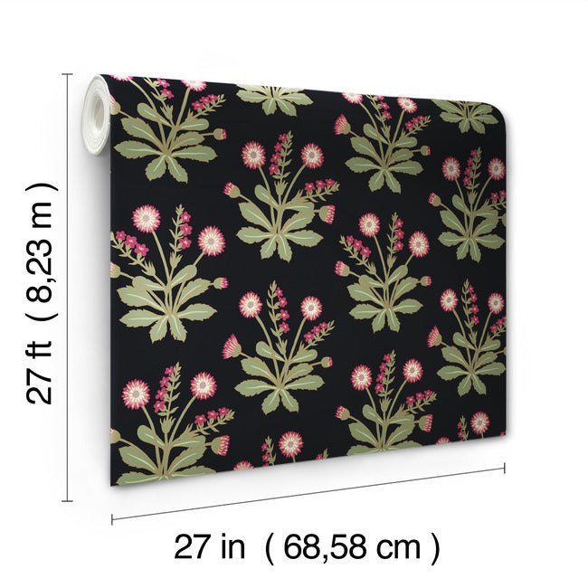 meadow-flowers-wallpaper-blackrose-york-wallcoverings-ac9152 - York Wallcoverings Wallpaper