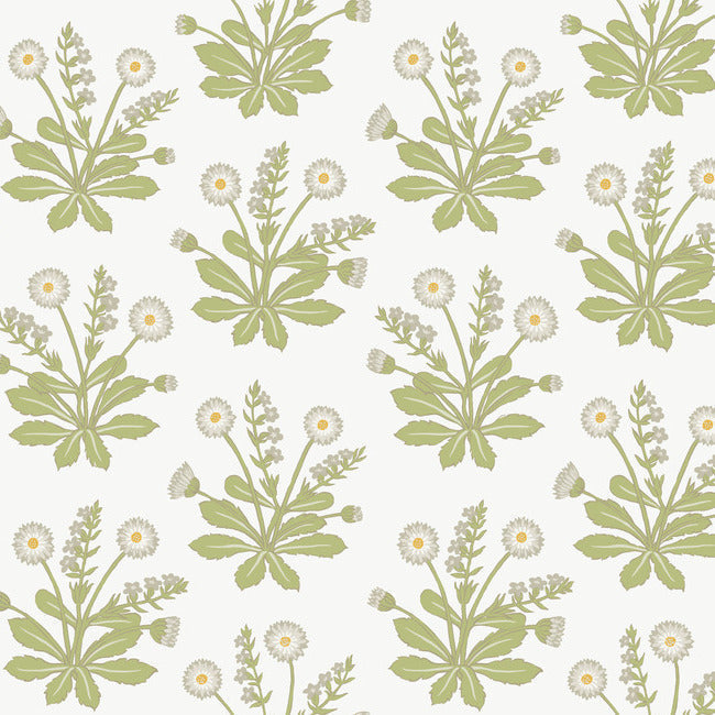 meadow-flowers-wallpaper-white-york-wallcoverings-ac9155 - York Wallcoverings Wallpaper