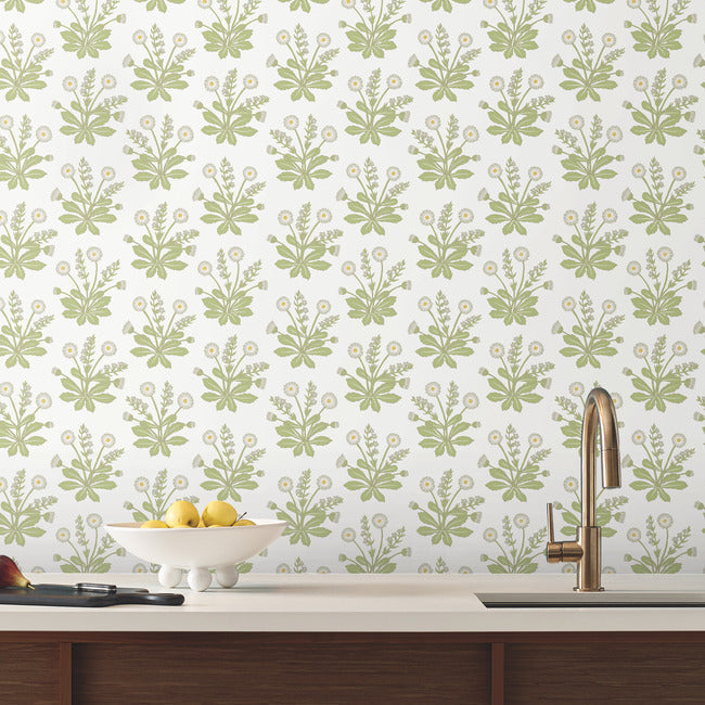 meadow-flowers-wallpaper-white-york-wallcoverings-ac9155 - York Wallcoverings Wallpaper