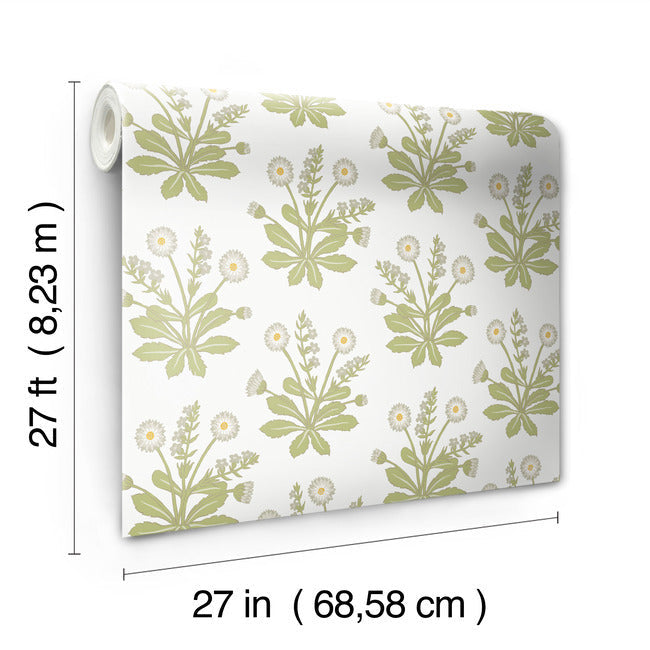 meadow-flowers-wallpaper-white-york-wallcoverings-ac9155 - York Wallcoverings Wallpaper