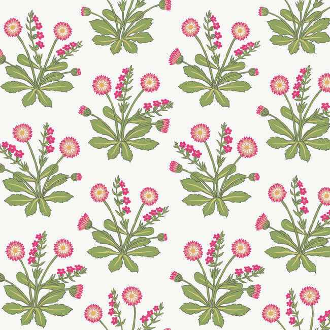 Meadow Flowers Wallpaper Whiterose - York Wallcoverings - AC9153 - York Wallcoverings Wallpaper