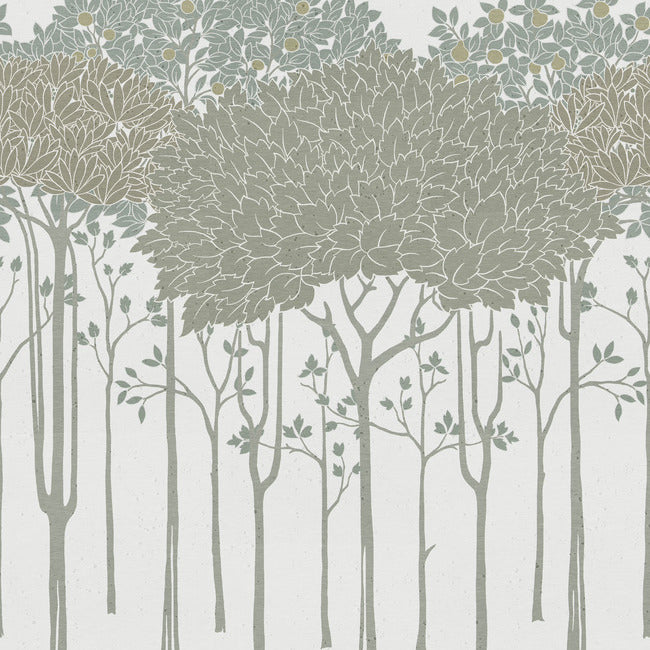 oakwood-grove-wallpaper-border-white-york-wallcoverings-ac9221d