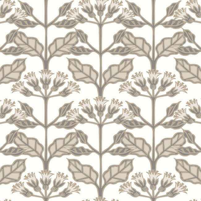 Tracery Blooms White Wallpaper - York Wallcoverings - AC9114 - York Wallcoverings Wallpaper