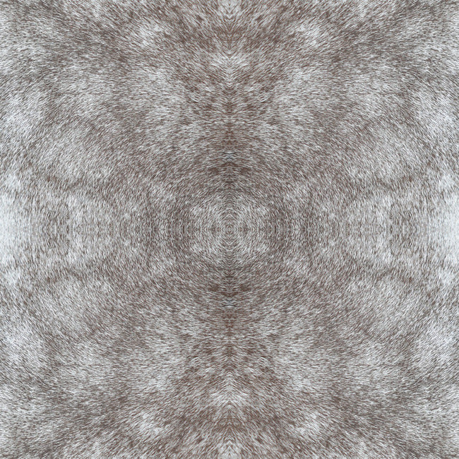 rose-dapple-premium-peel-stick-wallpaper-warm-grey-york-wallcoverings-psw1382rl