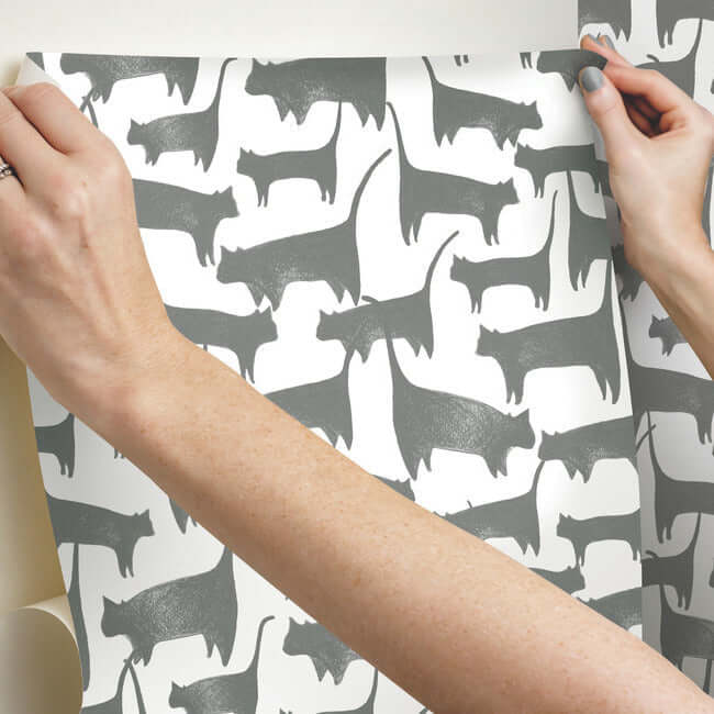 cat-tails-premium-peel-stick-wallpaper-charcoal-york-wallcoverings-psw1340rl - York Wallcoverings Wallpaper