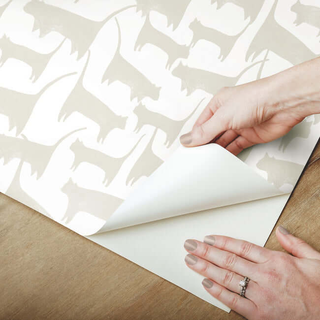 cat-tails-premium-peel-stick-wallpaper-neutral-york-wallcoverings-psw1341rl - York Wallcoverings Wallpaper