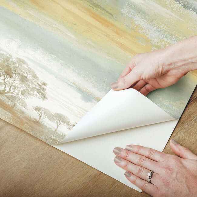 Savanna Sunset Premium Peel Stick Wallpaper Sunset - York Wallcoverings - PSW1348RL - York Wallcoverings Wallpaper