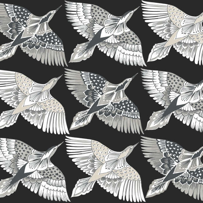 feather-flight-premium-peel-stick-wallpaper-black-york-wallcoverings-psw1351rl - York Wallcoverings Wallpaper