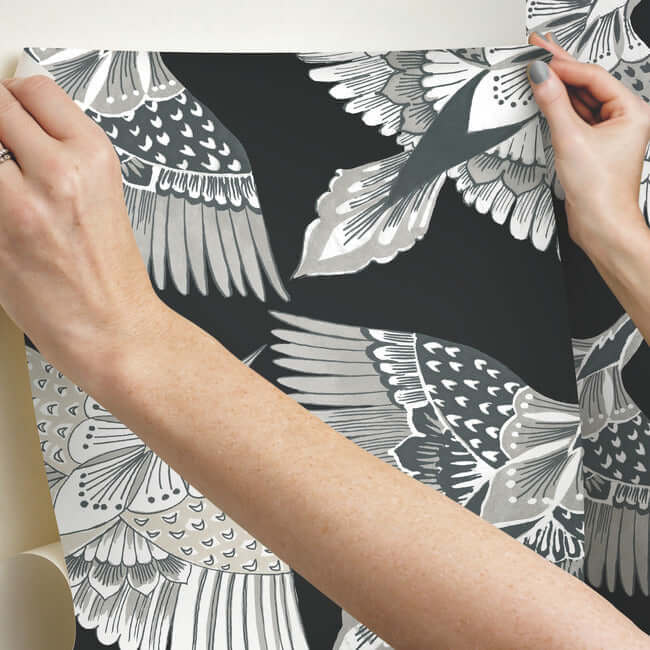 feather-flight-premium-peel-stick-wallpaper-black-york-wallcoverings-psw1351rl - York Wallcoverings Wallpaper