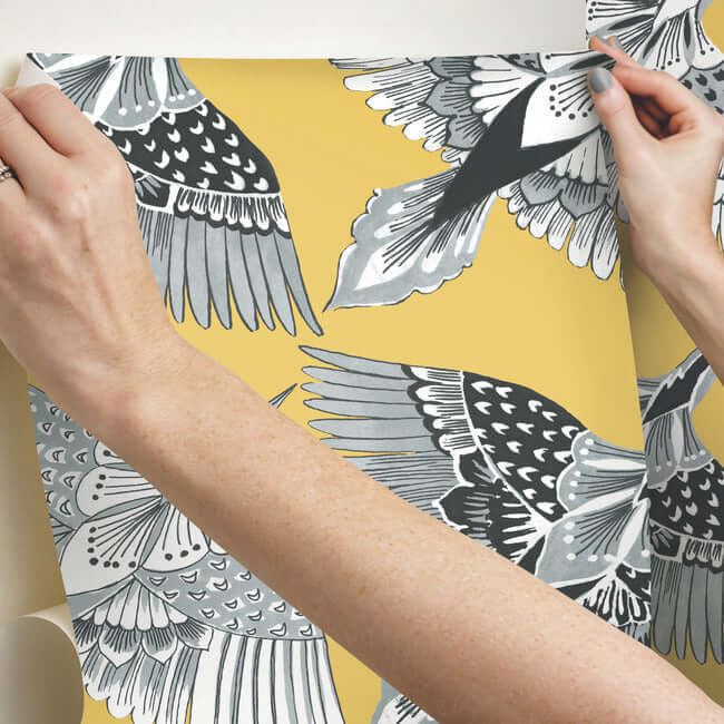 feather-flight-yellow-peel-stick-wallpaper-york-wallcoverings-psw1350rl - York Wallpaper Wallpaper