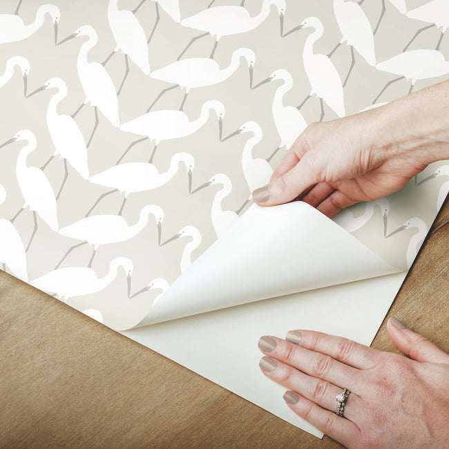 elegant-birds-premium-peel-stick-wallpaper-neutral-york-wallcoverings-psw1346rl - York Wallcoverings Wallpaper