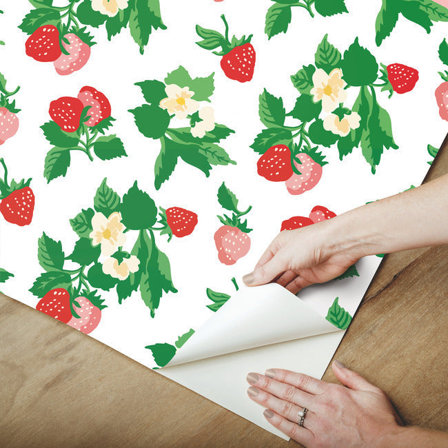 berry-nice-premium-peel-stick-wallpaper-berry-pink-york-wallcoverings-psw1395rl