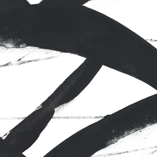 entanglement-black-wallpaper-york-wallcoverings-cc1301 - York Wallpaper Wallpaper