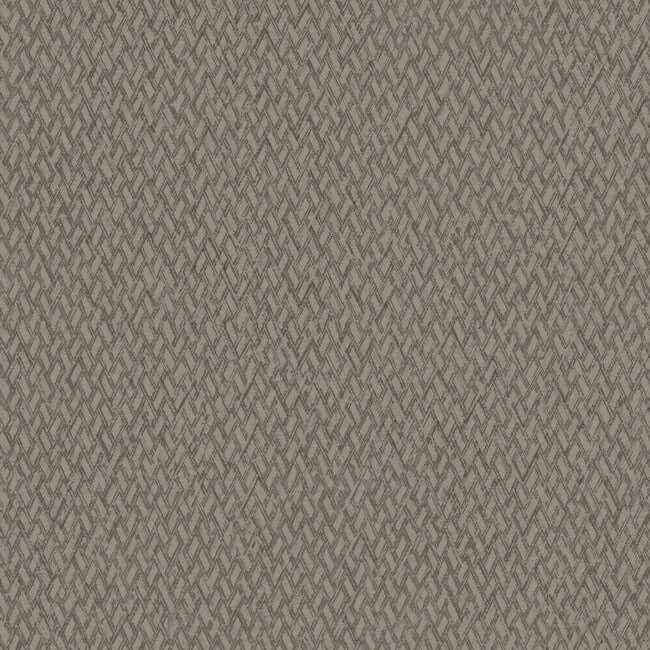 Give & Take Brown Wallpaper - York Wallcoverings - ND3025N - York Wallcoverings Wallpaper