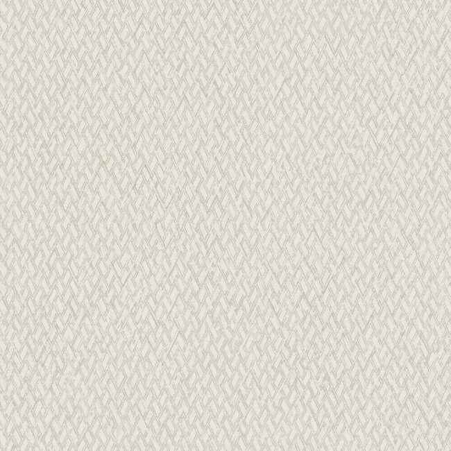 Give & Take Light Beige Wallpaper - York Wallcoverings - ND3021N