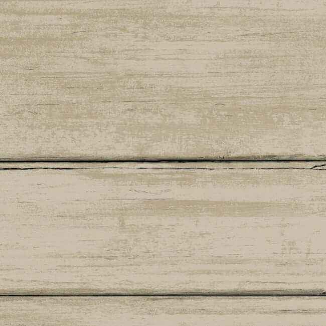 Broad Side Beige Wallpaper - York Wallcoverings - ND3053N - York Wallcoverings Wallpaper