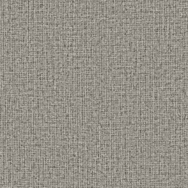 Dandy Grey Wallpaper - York Wallcoverings - ND3010N - York Wallcoverings Wallpaper