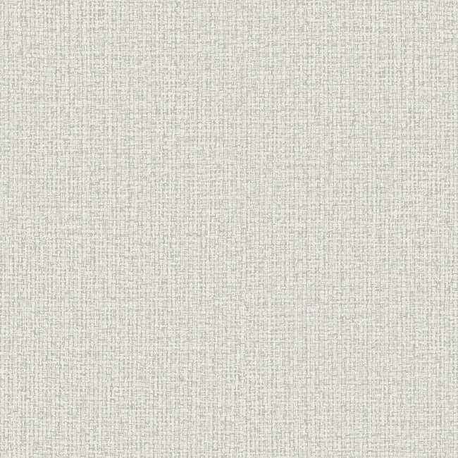 Dandy Light Grey Wallpaper - York Wallcoverings - ND3008N - York Wallcoverings Wallpaper