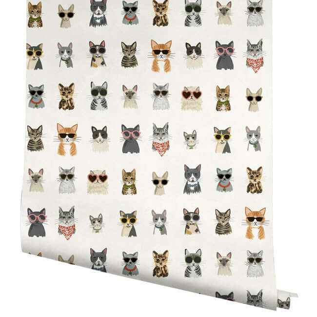 Cool Cats Multi White Peel & Stick Wallpaper - York Wallcoverings - PSW1463RL - York Wallcoverings Wallpaper