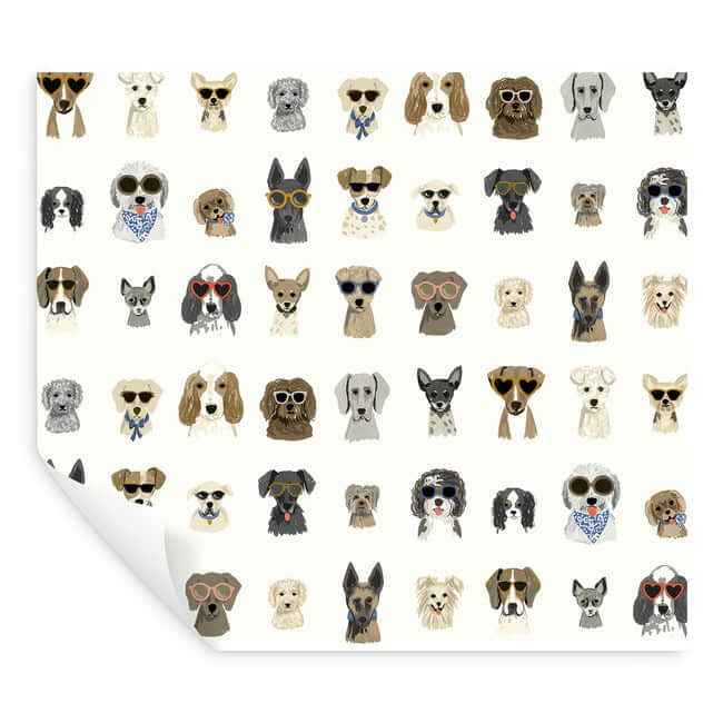Dog Days Multi White Peel & Stick Wallpaper - York Wallcoverings - PSW1461RL - York Wallcoverings Wallpaper