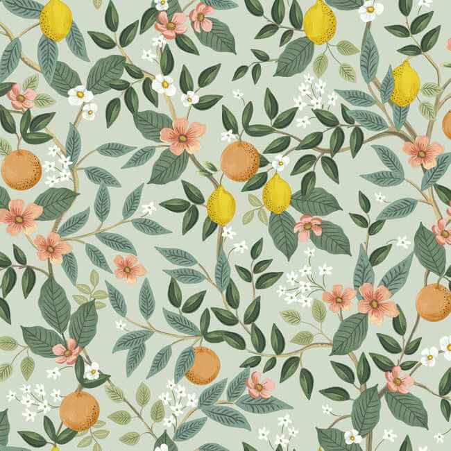Citrus Grove Mint Peel & Stick Wallpaper - York Wallcoverings - PSW1480RL - York Wallcoverings Wallpaper