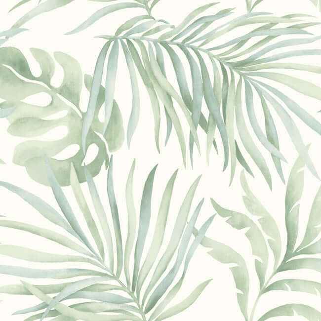 Paradise Palm Aloe Peel & Stick Wallpaper - York Wallcoverings - PSW1413RL - York Wallcoverings Wallpaper