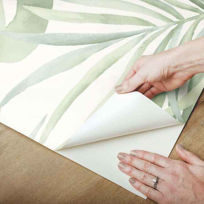 Paradise Palm Aloe Peel & Stick Wallpaper - York Wallcoverings - PSW1413RL - York Wallcoverings Wallpaper