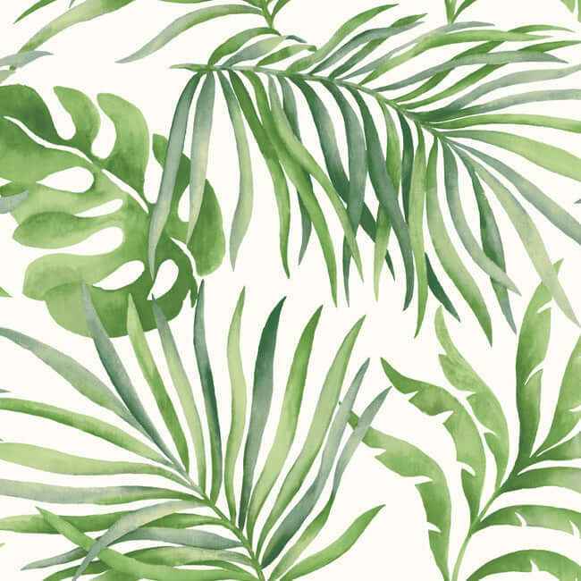 Paradise Palm Green Peel & Stick Wallpaper - York Wallcoverings - PSW1412RL - York Wallcoverings Wallpaper