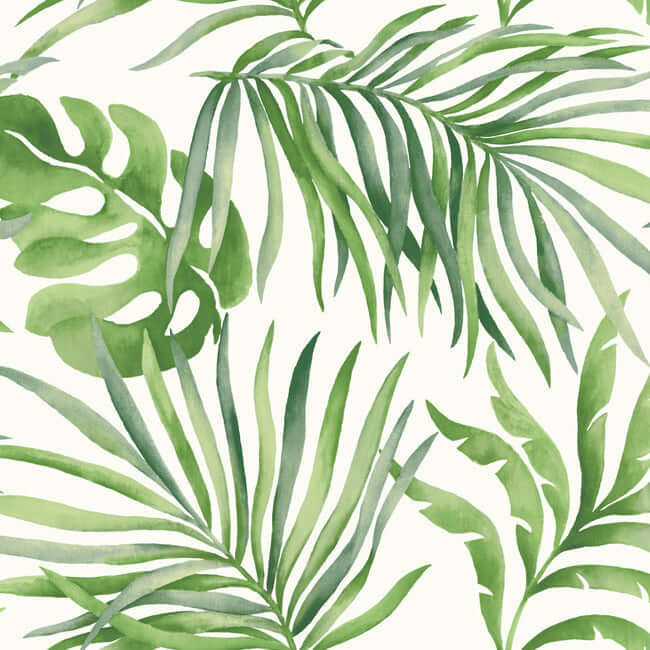 paradise-palm-green-peel-stick-wallpaper-york-wallcoverings-psw1412rl - York Wallpaper Wallpaper