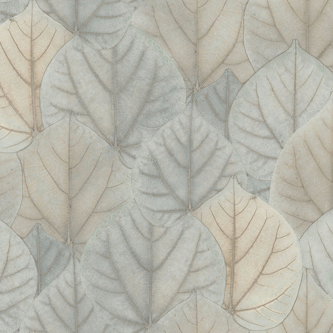 leaf-concerto-premium-peel-stick-wallpaper-bluetaupe-york-wallcoverings-psw1426rl - York Wallcoverings Wallpaper