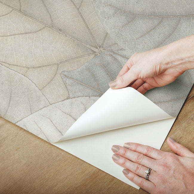 leaf-concerto-premium-peel-stick-wallpaper-bluetaupe-york-wallcoverings-psw1426rl - York Wallcoverings Wallpaper