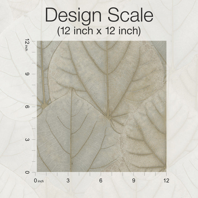 leaf-concerto-premium-peel-stick-wallpaper-warm-taupe-york-wallcoverings-psw1425rl