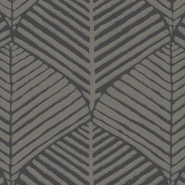 Universal Nature Shadow Wallpaper - York Wallcoverings - RRD7662N - York Wallcoverings Wallpaper