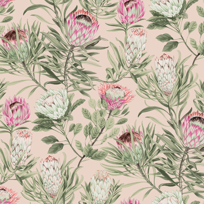 protea-wallpaper-blush-york-wallcoverings-bl1751 - York Wallcoverings Wallpaper