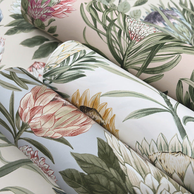 protea-wallpaper-blush-york-wallcoverings-bl1751 - York Wallcoverings Wallpaper