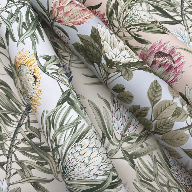 protea-wallpaper-blush-york-wallcoverings-bl1751 - York Wallcoverings Wallpaper