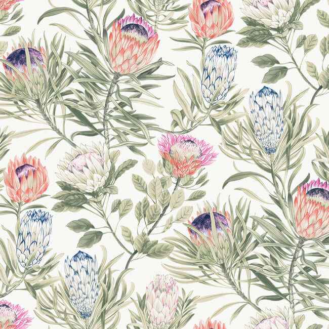 Protea White & Fuchsia Wallpaper - York Wallcoverings - BL1752 - York Wallcoverings Wallpaper