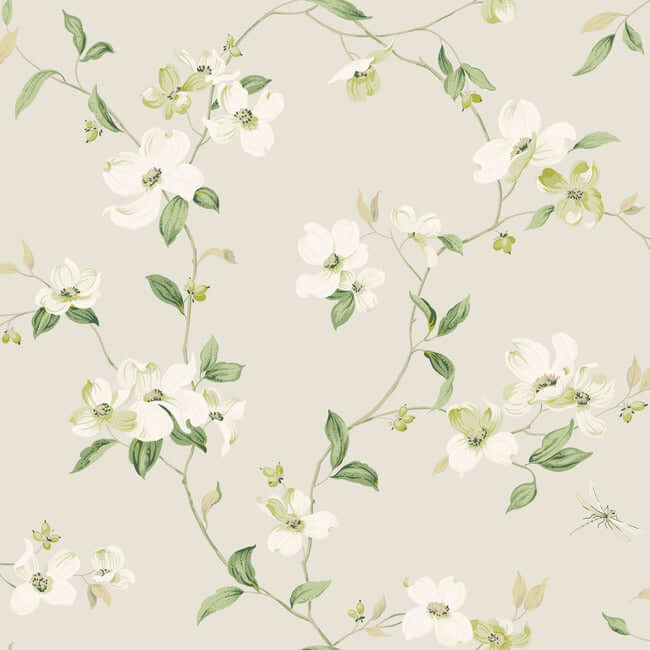 dogwood-light-grey-wallpaper-york-wallcoverings-bl1762 - York Wallcoverings Wallpaper