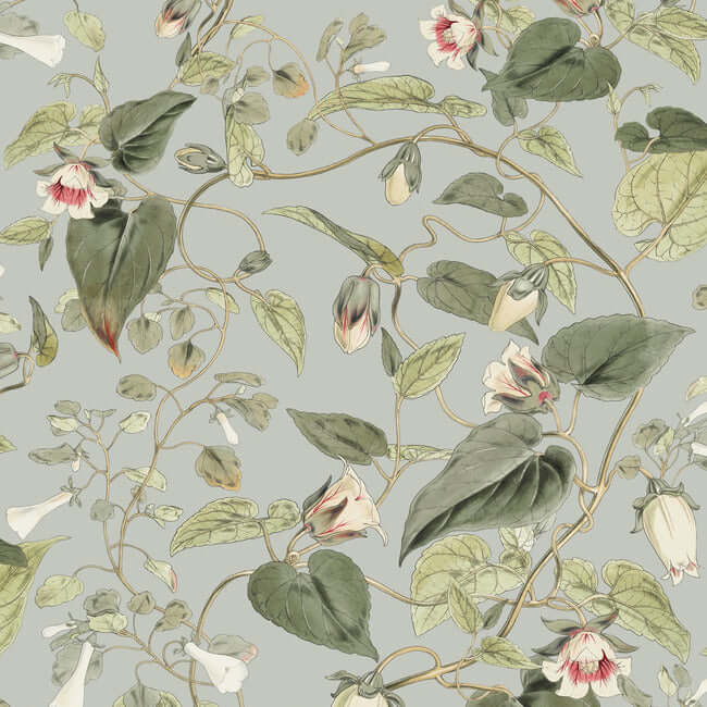 moon-flower-dove-wallpaper-york-wallcoverings-bl1712 - York Wallcoverings Wallpaper