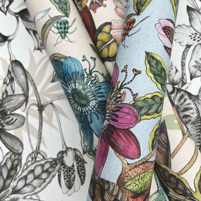 Rainforest Multicolor Wallpaper - York Wallcoverings - BL1705 - York Wallcoverings Wallpaper