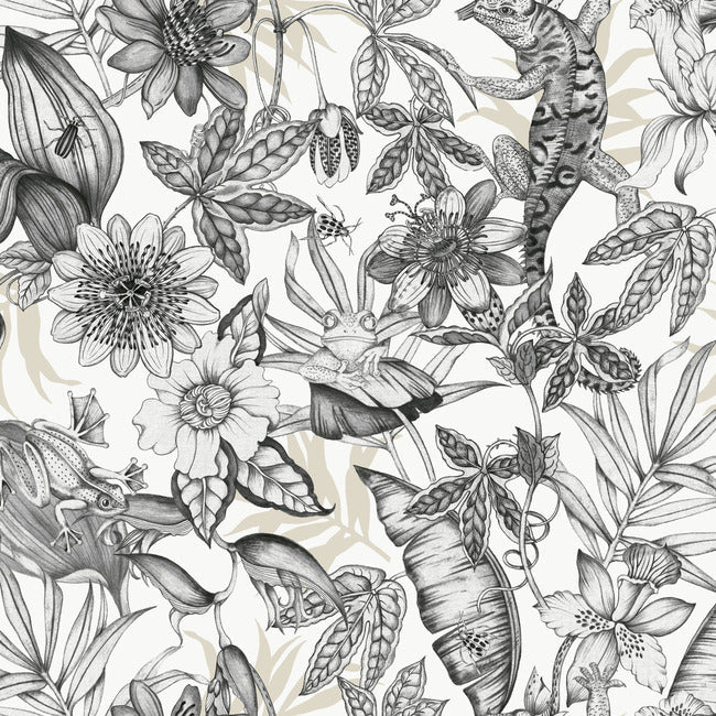 rainforest-wallpaper-white-charcoal-york-wallcoverings-bl1703