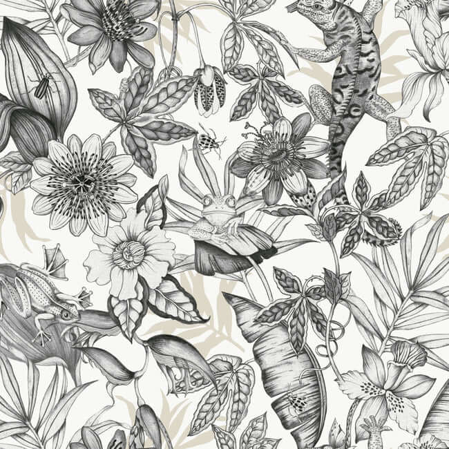 rainforest-white-charcoal-wallpaper-york-wallcoverings-bl1703 - York Wallcoverings Wallpaper