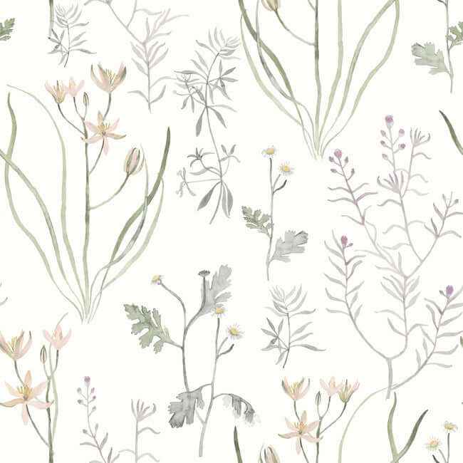 Alpine Botanical Lavender Peel & Stick Wallpaper - York Wallcoverings - PSW1521RL - York Wallcoverings Wallpaper