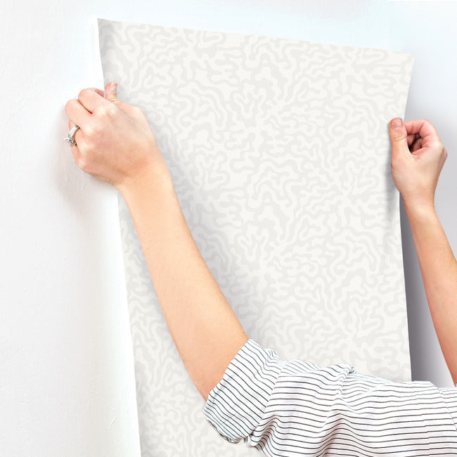 nebulous-cloud-wallpaper-dove-grey-york-wallcoverings-ag2024