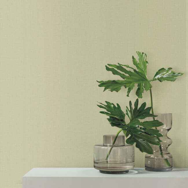 Su Tela Green Wallpaper - York Wallcoverings - SI24951 - York Wallcoverings Wallpaper