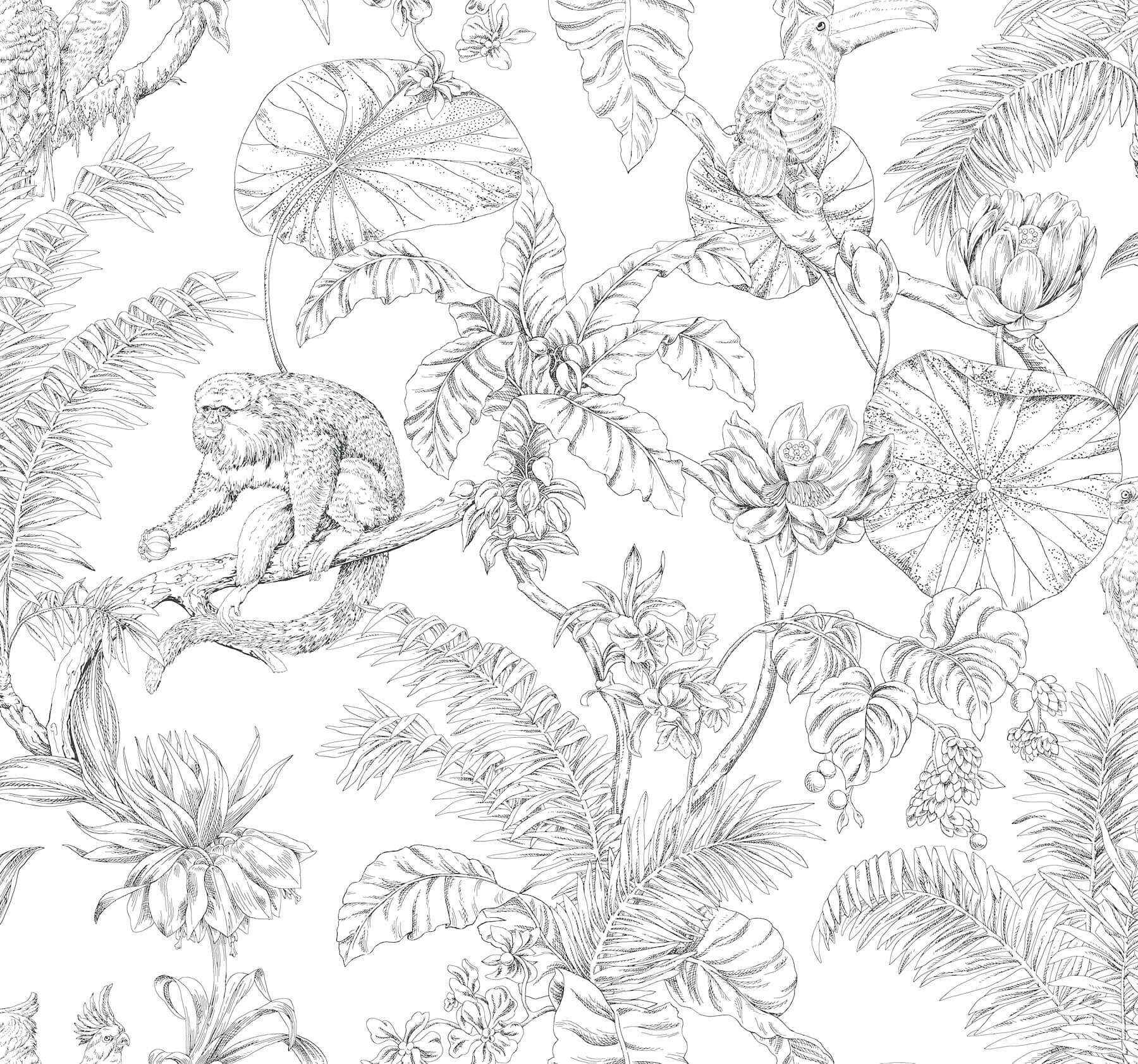 Tropical Sketch Toile Black Wallpaper - York Wallcoverings - RT7841 - York Wallcoverings Wallpaper