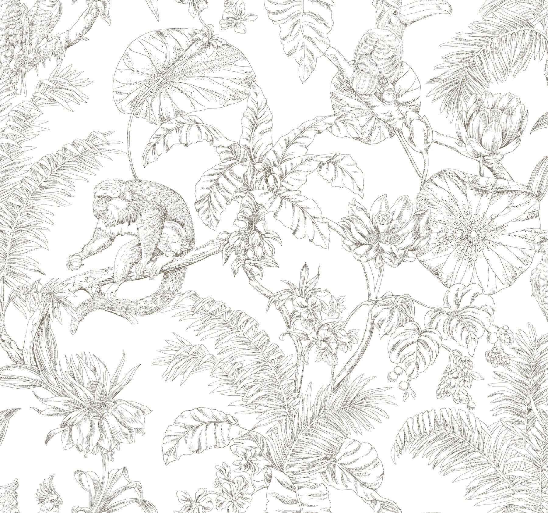 Tropical Sketch Toile Brown Wallpaper - York Wallcoverings - RT7843 - York Wallcoverings Wallpaper