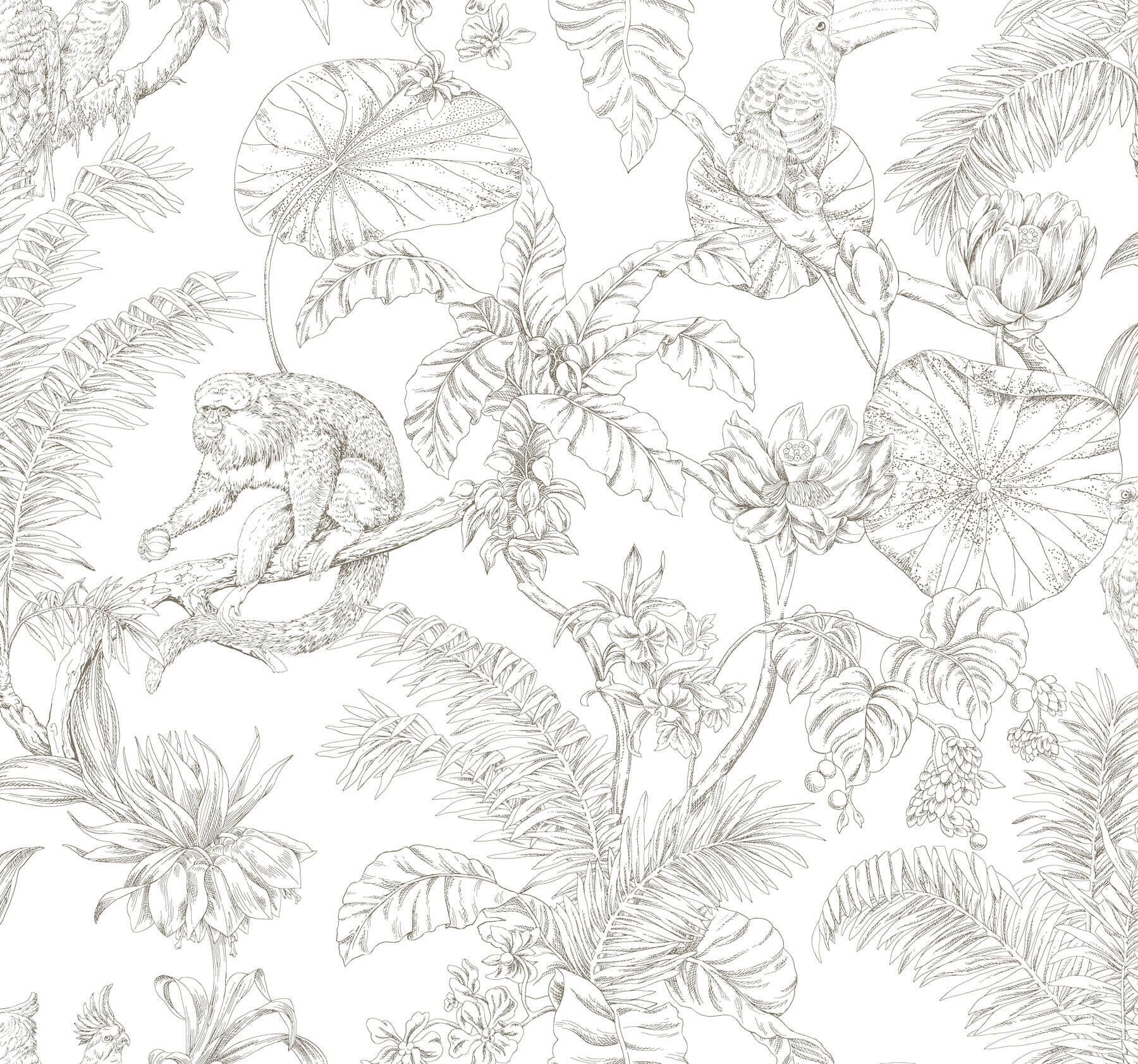 tropical-sketch-toile-brown-wallpaper-york-wallcoverings-rt7843 - York Wallpaper Wallpaper