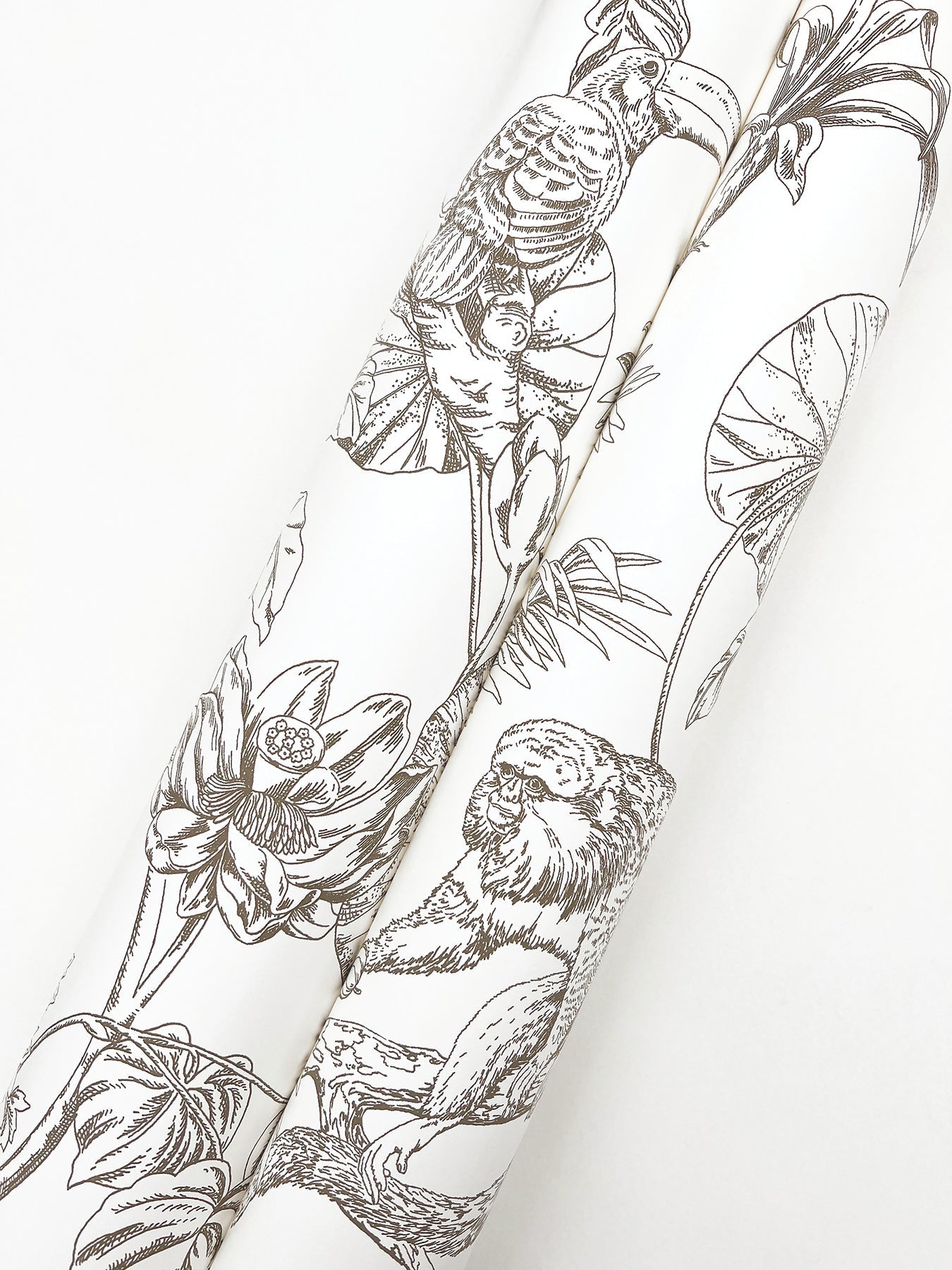 tropical-sketch-toile-wallpaper-brown-york-wallcoverings-rt7843